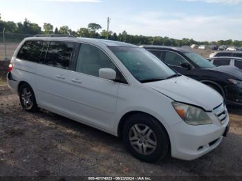  Salvage Honda Odyssey