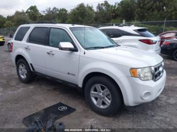  Salvage Ford Escape