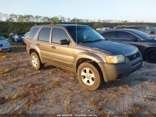  Salvage Ford Escape