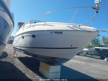  Salvage Rinker Other