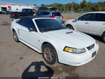  Salvage Ford Mustang