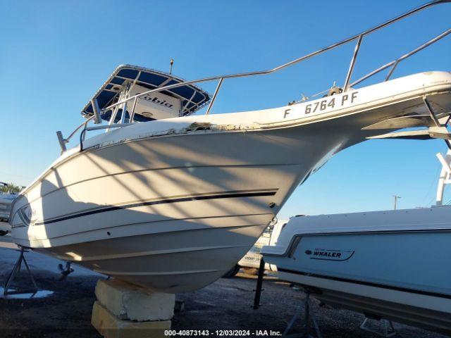  Salvage Cobia Boat