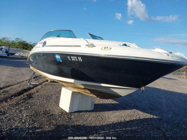  Salvage Sea Ray Boat