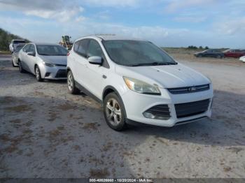  Salvage Ford Escape