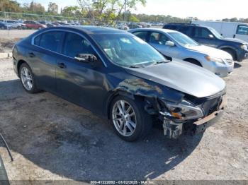  Salvage Nissan Maxima