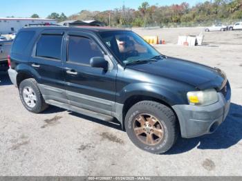  Salvage Ford Escape