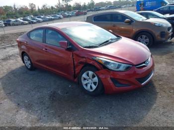  Salvage Hyundai ELANTRA