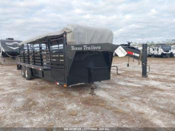  Salvage Texas S Cattle Trl