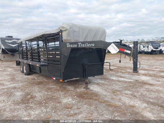  Salvage Texas S Cattle Trl