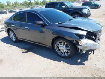  Salvage Nissan Maxima