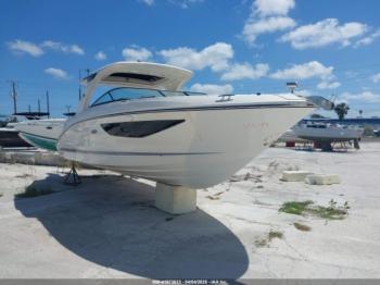  Salvage Sea Ray Boat