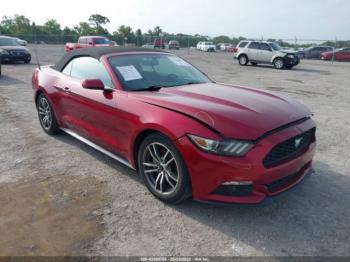  Salvage Ford Mustang