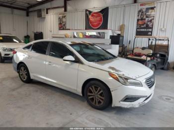 Salvage Hyundai SONATA