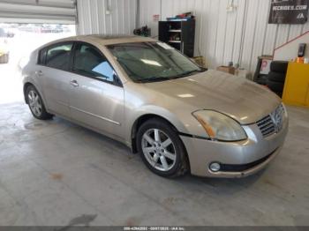  Salvage Nissan Maxima