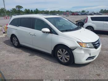  Salvage Honda Odyssey