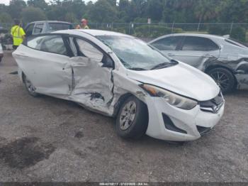  Salvage Hyundai ELANTRA
