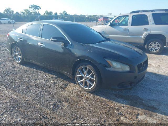  Salvage Nissan Maxima