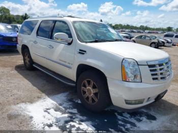  Salvage Cadillac Escalade