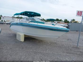  Salvage Wellcraft Boat
