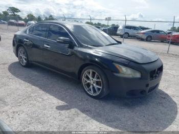  Salvage Nissan Maxima