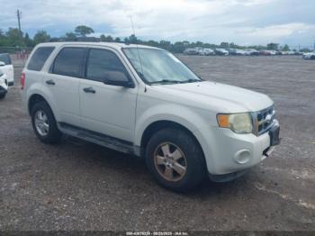  Salvage Ford Escape