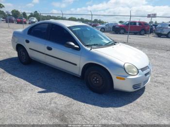  Salvage Dodge Neon