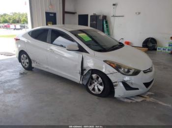  Salvage Hyundai ELANTRA