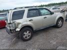 Ford Escape Xlt Image 4