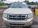 Ford Escape Xlt Image 9