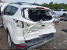 Ford Escape Se Image 5