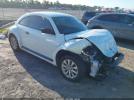 Volkswagen Beetle Image 1