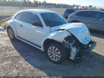  Salvage Volkswagen Beetle