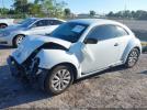 Volkswagen Beetle Image 2