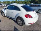 Volkswagen Beetle Image 5