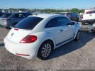 Volkswagen Beetle Image 10