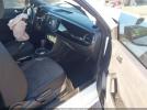 Volkswagen Beetle Image 3