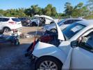 Volkswagen Beetle Image 4