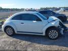 Volkswagen Beetle Image 8