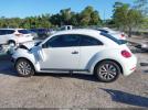 Volkswagen Beetle Image 14