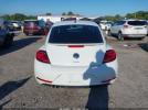 Volkswagen Beetle Image 13