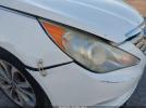 Hyundai SONATA Limited 2.0t Image 2