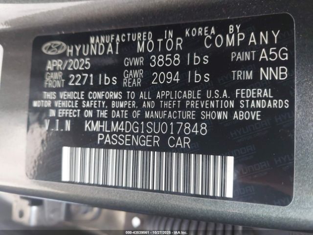 Hyundai ELANTRA Sel Sport Image 7