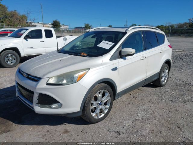 Ford Escape Titanium Image 3