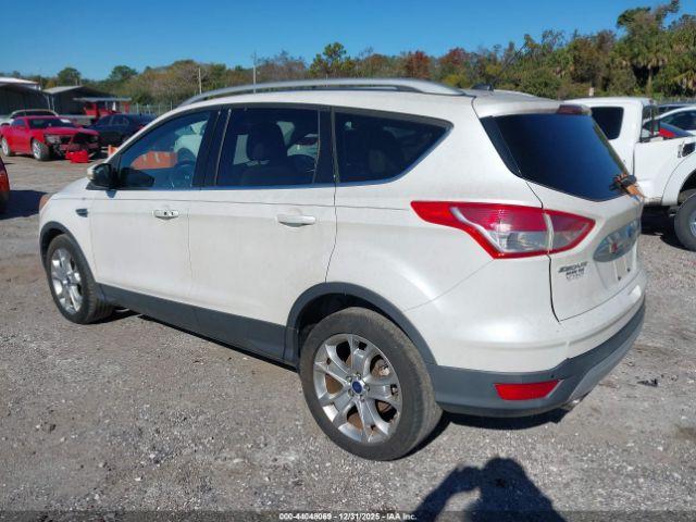 Ford Escape Titanium Image 5