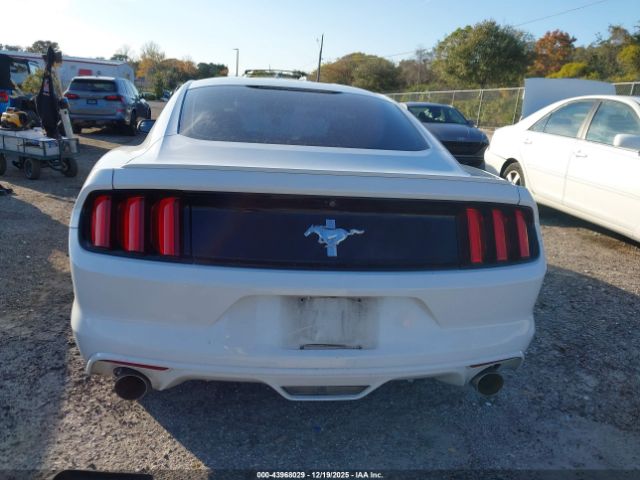 Ford Mustang V6 Image 7