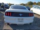 Ford Mustang V6 Image 7